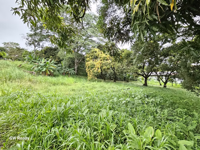 Venta de terreno - Alcalde Diaz - Ciudad Bolivar