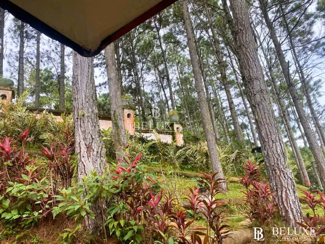 VENTA DE CASA EN ALTOS DEL MARIA (6)