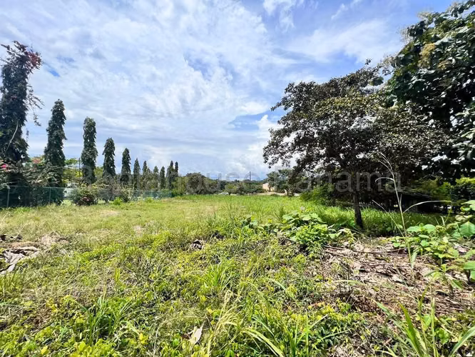 Terreno En Venta En Nueva Gorgona ABS