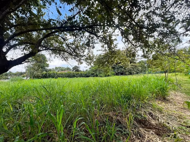 Terreno En Venta En Nueva Gorgona ABS