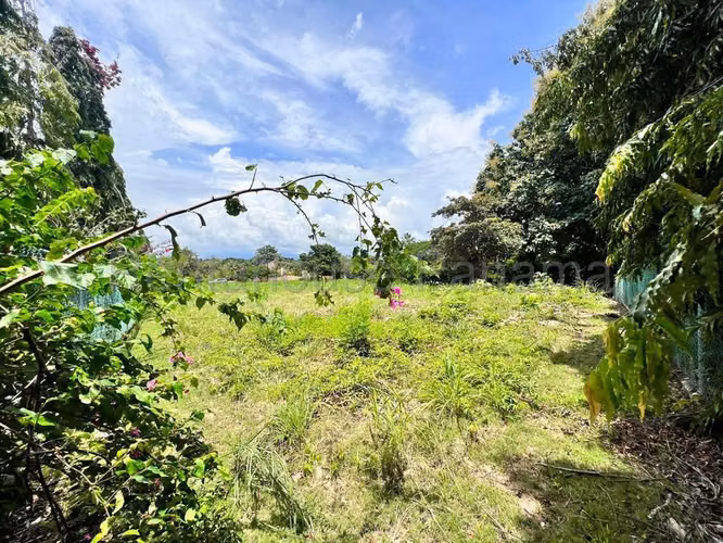 Terreno En Venta En Nueva Gorgona ABS