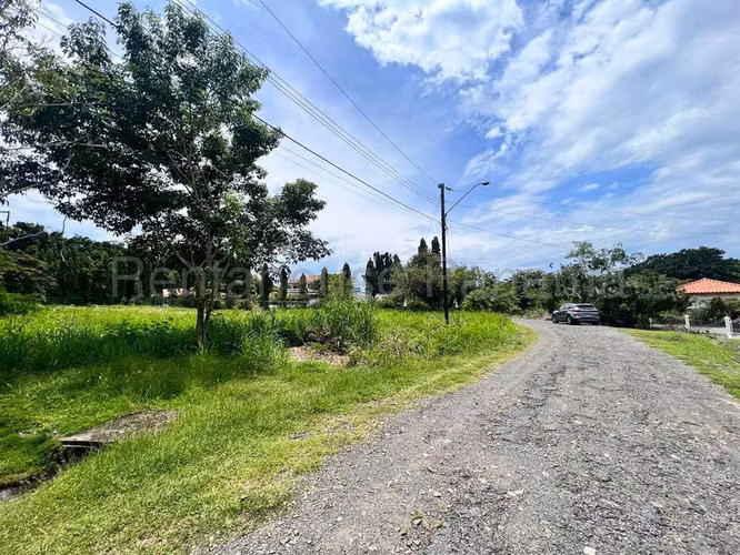 Terreno En Venta En Nueva Gorgona ABS
