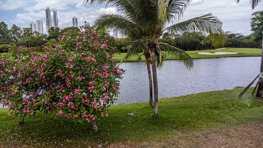 ISLAND ESTATES lote 3,197m2 con la mejor vista
