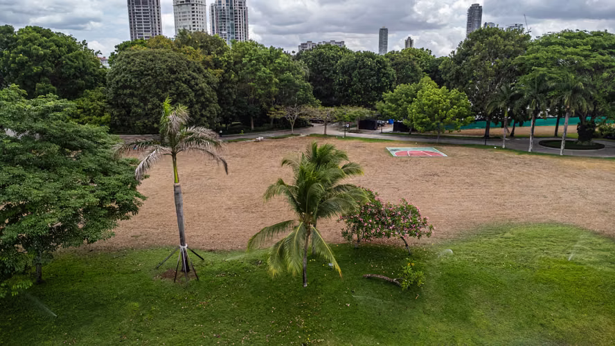 ISLAND ESTATES lote 3,197m2 con la mejor vista
