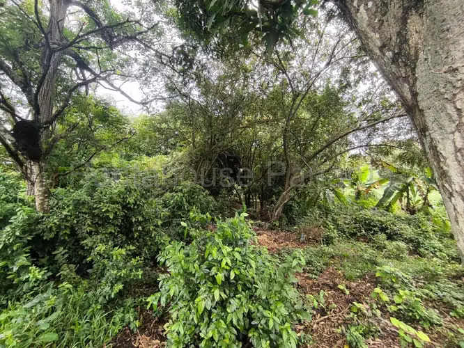 Terreno en Venta en La Chorrera ABS