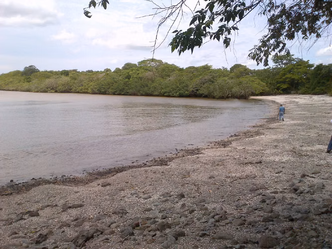 TERRENO 19.4HAS PLAYA LEONA - FRENTE MAR