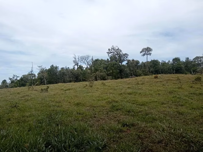 Vendo lotes en boquete, Jaramillo Arriba $55 por m2.