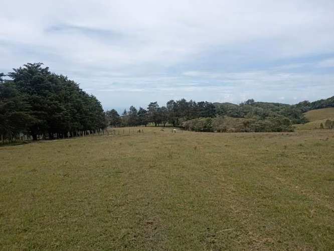 Vendo lotes en boquete, Jaramillo Arriba $55 por m2.