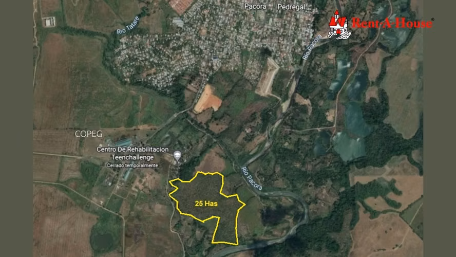 Lote de 25 HA en Pacora 24YCG5570
