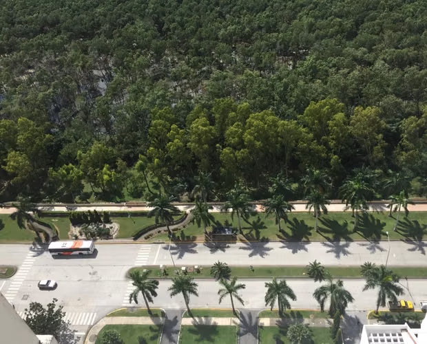 ALQUILER APARTAMENTO COSTA DEL ESTE 335 M2 FRENTE AL MAR MC