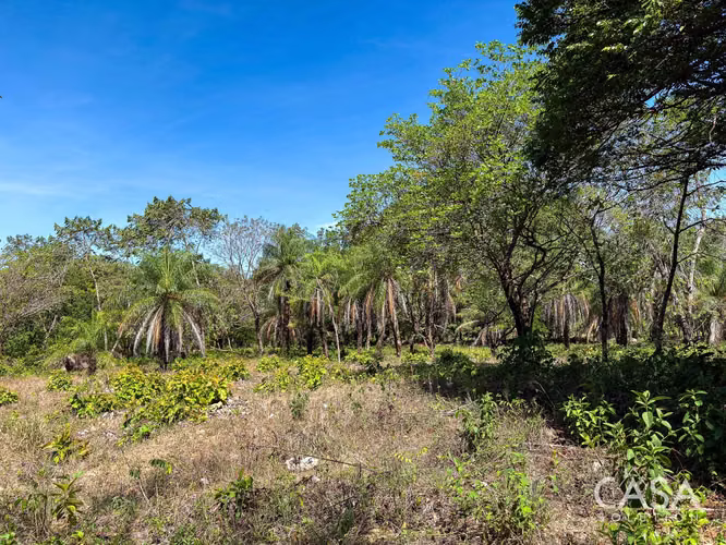 Oferta! Lote Plano de 9,445 m² en venta con Acceso Asfaltado en Caldera, Boquete