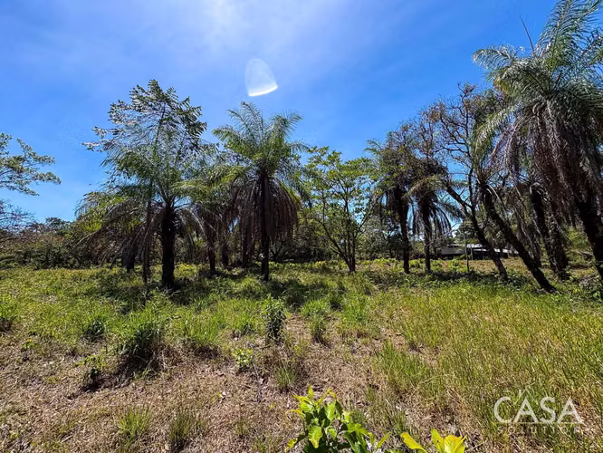 Oferta! Lote Plano de 9,445 m² en venta con Acceso Asfaltado en Caldera, Boquete