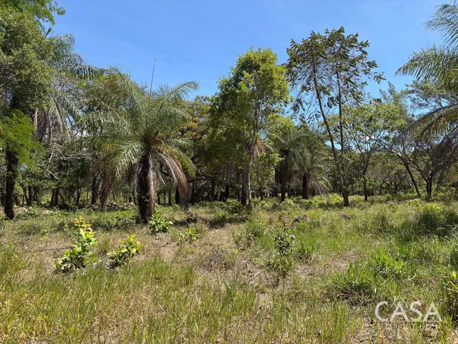 Oferta! Lote Plano de 9,445 m² en venta con Acceso Asfaltado en Caldera, Boquete