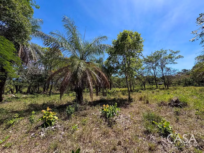 Oferta! Lote Plano de 9,445 m² en venta con Acceso Asfaltado en Caldera, Boquete