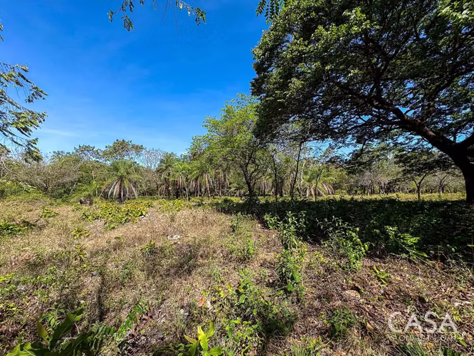 Oferta! Lote Plano de 9,445 m² en venta con Acceso Asfaltado en Caldera, Boquete