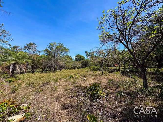 Oferta! Lote Plano de 9,445 m² en venta con Acceso Asfaltado en Caldera, Boquete