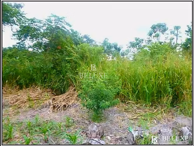 VENTA DE TERRENO EN CORONADO, PLAYA GORGONA (6) - Imagen 2