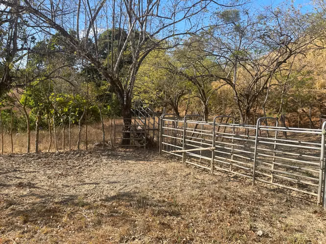 SE VENDEN 32 Has en la via de AGUA BUENA de PEDASÍ