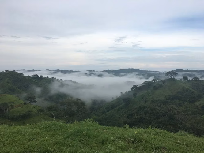 SE VENDEN 32 Has en la via de AGUA BUENA de PEDASÍ