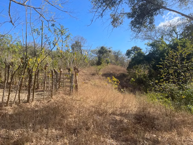 SE VENDEN 32 Has en la via de AGUA BUENA de PEDASÍ