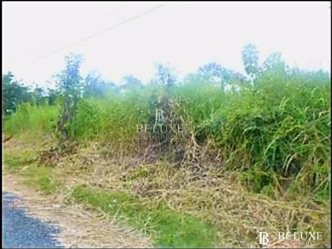 VENTA DE TERRENO EN CORONADO, PLAYA GORGONA (6) - Imagen 3
