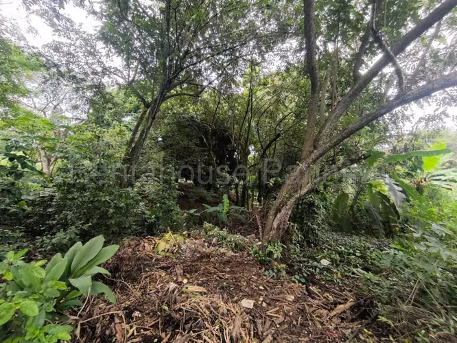 Venta de Terreno en Bisvalles BDP