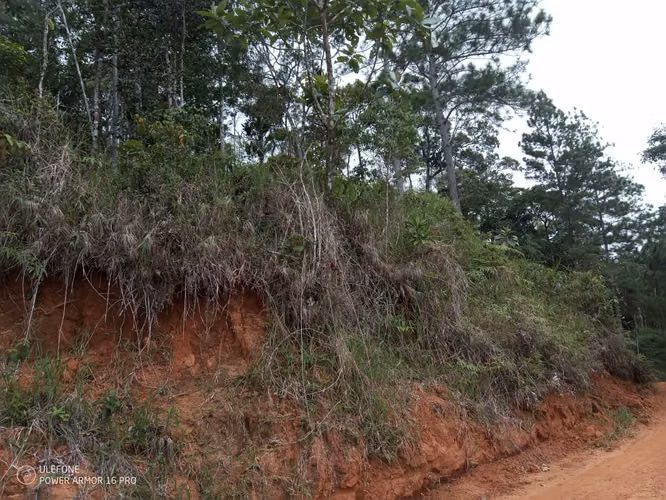 20 Hectáreas en Cerro Azul | Altos del Pacora en venta