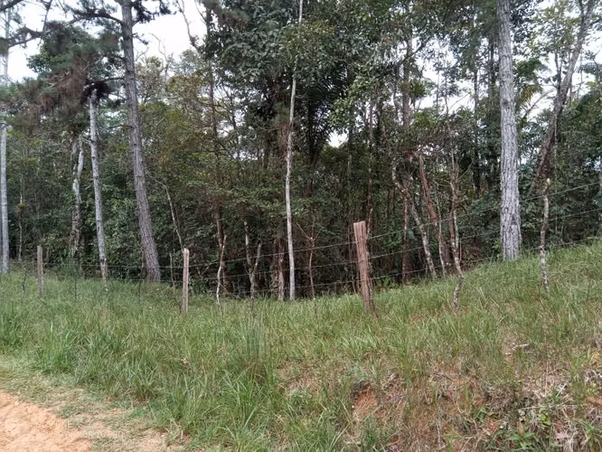 20 Hectáreas en Cerro Azul | Altos del Pacora en venta