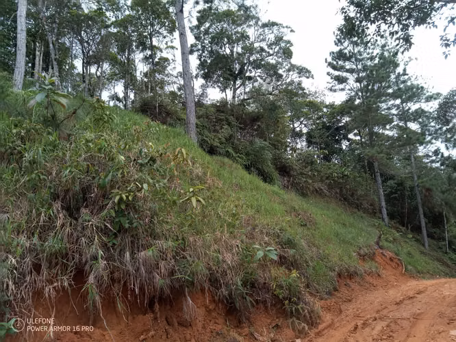 20 Hectáreas en Cerro Azul | Altos del Pacora en venta