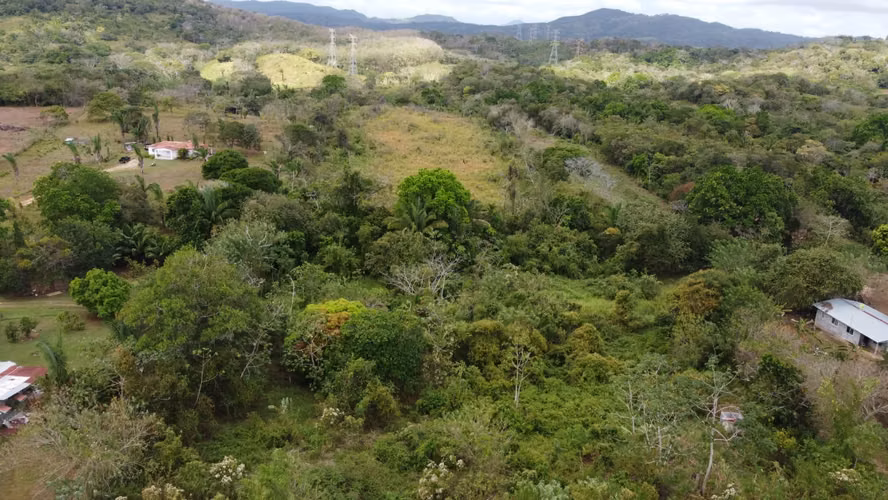 Capira, Vía Interamericana