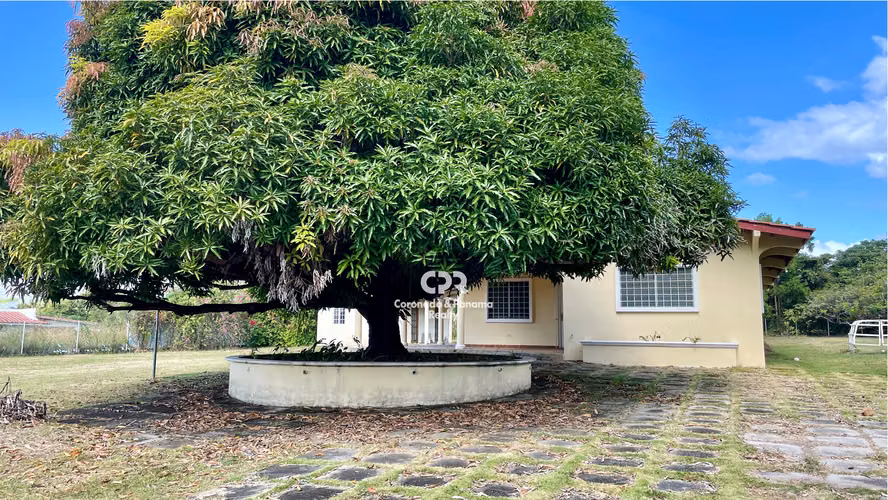 Vendo Casa con Amplio Terreno en Coronado – 2,940 m² – Plano – Céntrico – $249,000.00