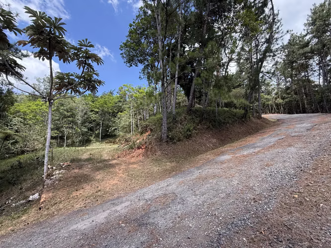 TERRENO EN ALTOS DE CERRO AZUL 2,363M2