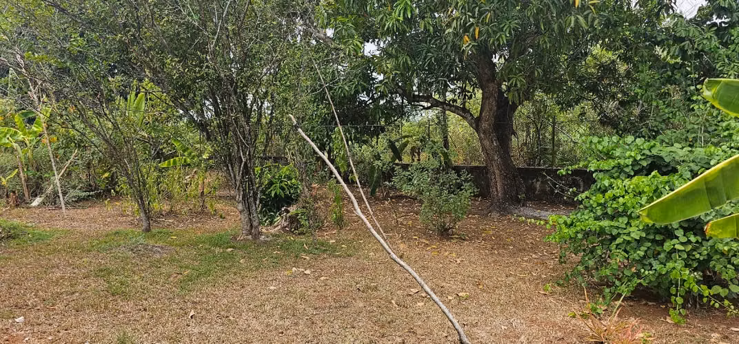 Casa en Pacora en venta (3,083m2 de terreno)