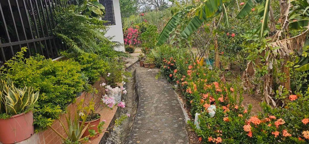 Casa en Pacora en venta (3,083m2 de terreno)