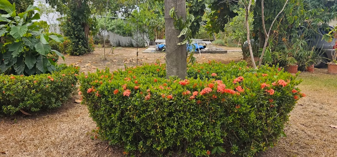 Casa en Pacora en venta (3,083m2 de terreno)