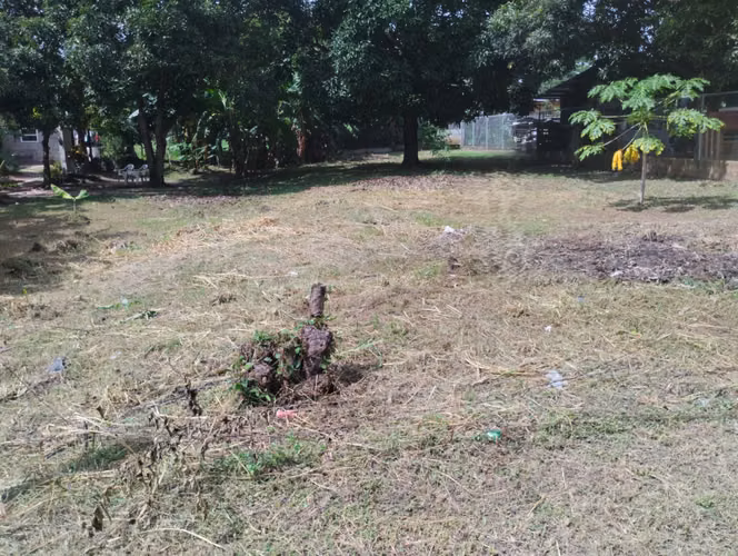 SE VENDE TERRENO DE 800 M2 EN LAS LAJAS .  Frente a la entrada a Coronado - Imagen 10