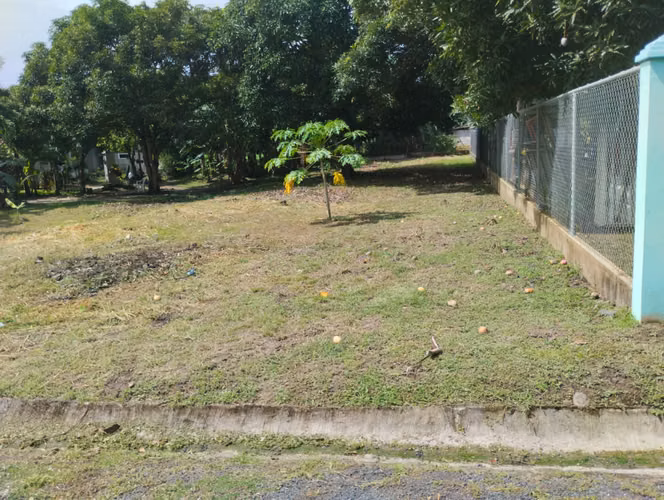 SE VENDE TERRENO DE 800 M2 EN LAS LAJAS .  Frente a la entrada a Coronado - Imagen 14