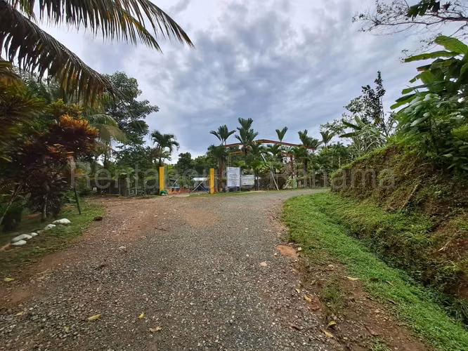 VENTA DE TERRENO EN COCLE MCD25-8652