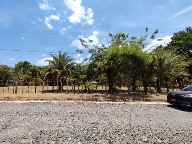 Gorgona -  Terreno Plano -