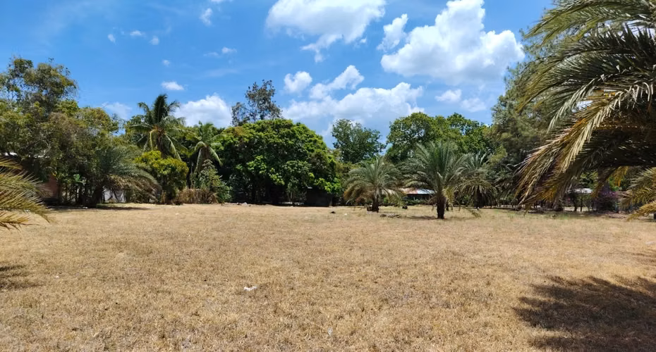 Gorgona -  Terreno Plano -