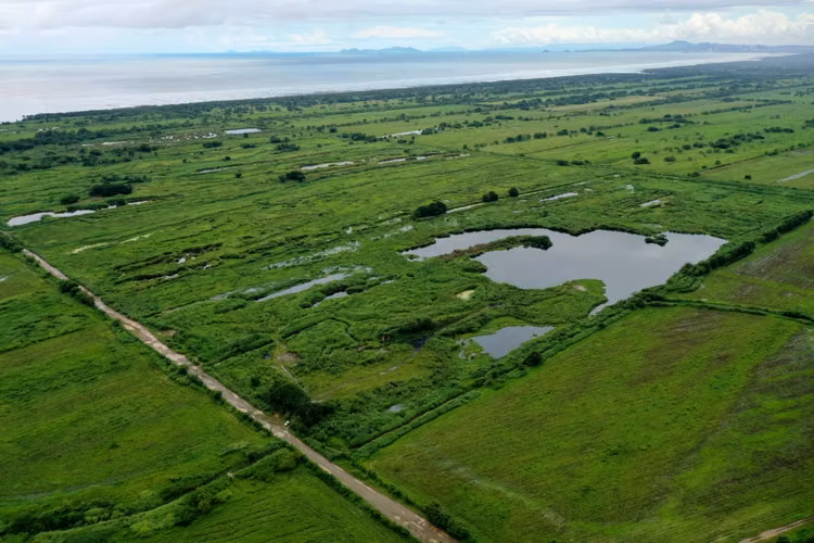 Se vende finca en PACORA – 74.65 Hectáreas - Imagen 2