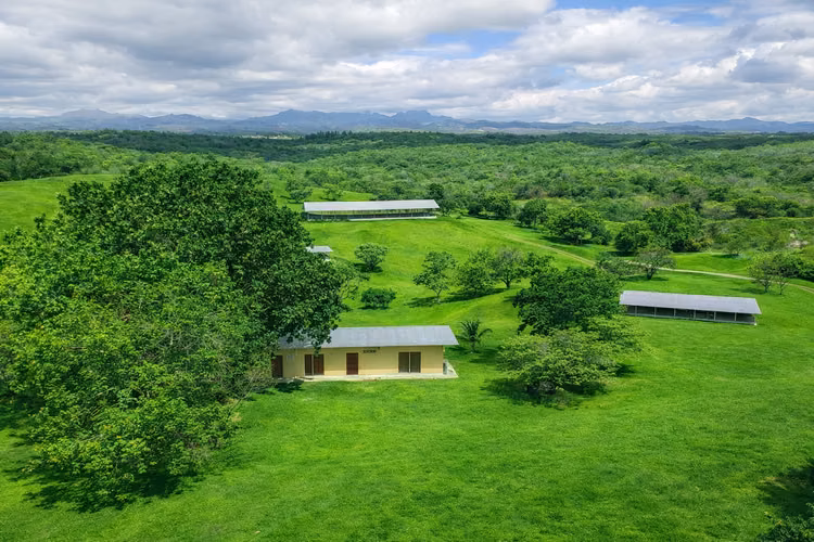 Finca de 13.25 Hectáreas con Vistas al Mar y a la Montaña