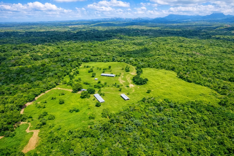Finca de 13.25 Hectáreas con Vistas al Mar y a la Montaña - Imagen 5