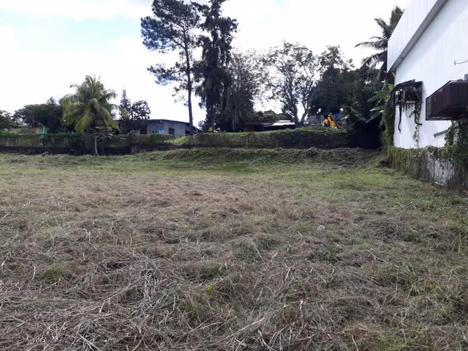 SE VENDE TERRENO COMERCIAL EN LA CHORRERA CON ANTEPROYECTO - Imagen 5