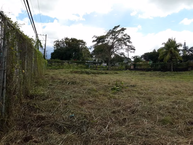SE VENDE TERRENO COMERCIAL EN LA CHORRERA CON ANTEPROYECTO - Imagen 7
