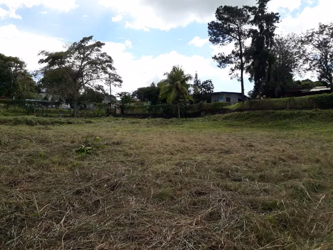 SE VENDE TERRENO COMERCIAL EN LA CHORRERA CON ANTEPROYECTO - Imagen 8