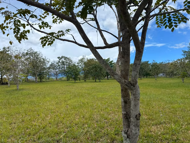 VENTA Boquete Land 4,000m² | Creek + Utilities | $165K - Imagen 12