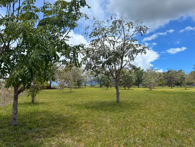 VENTA Boquete Land 4,000m² | Creek + Utilities | $165K - Imagen 4