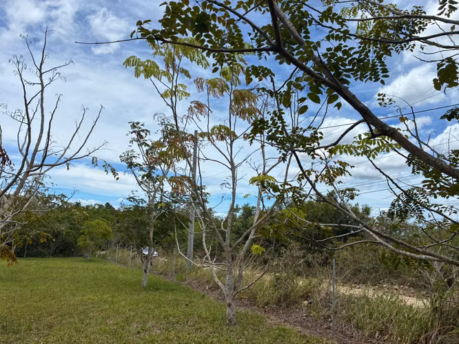 VENTA Boquete Land 4,000m² | Creek + Utilities | $165K - Imagen 2