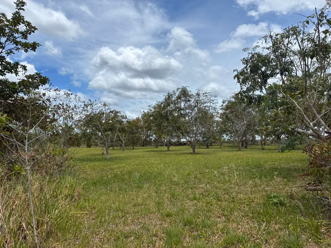 VENTA Boquete Land 4,000m² | Creek + Utilities | $165K - Imagen 7